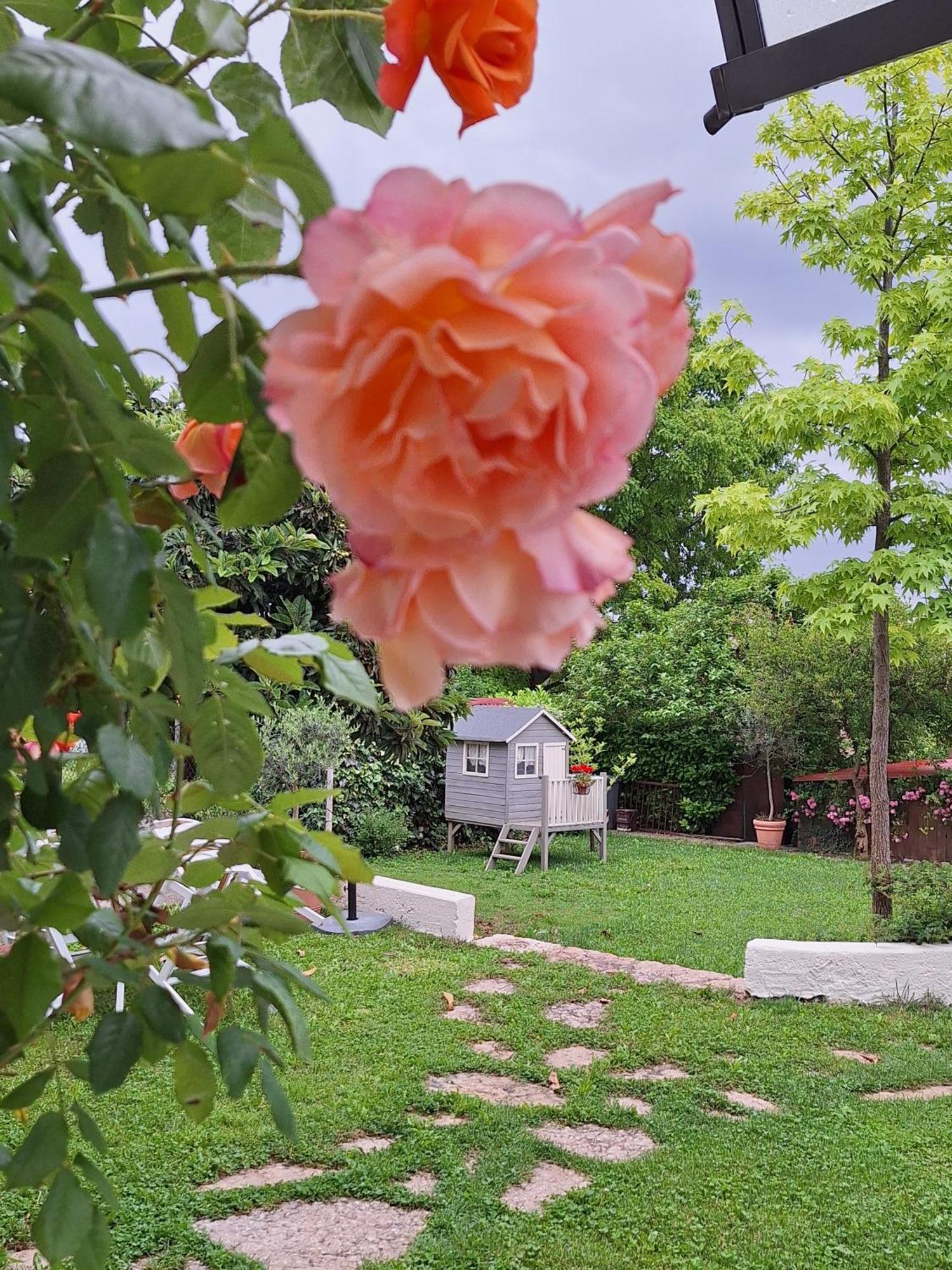Apartmán Casa Paola Borso del Grappa Exteriér fotografie