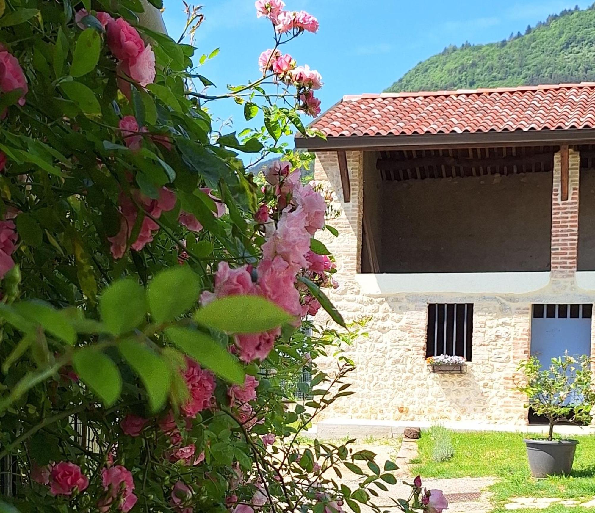 Apartmán Casa Paola Borso del Grappa Exteriér fotografie