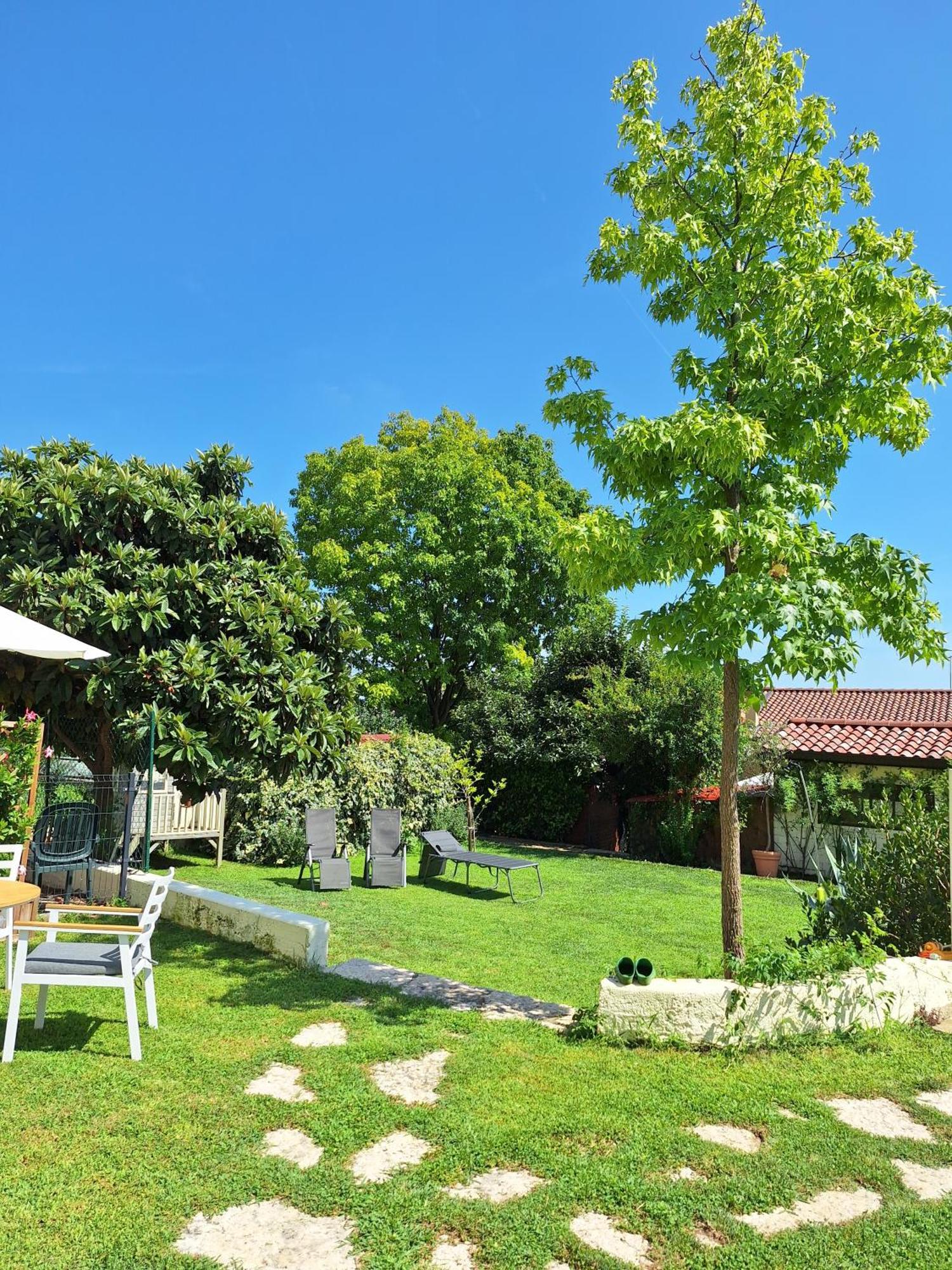 Apartmán Casa Paola Borso del Grappa Exteriér fotografie